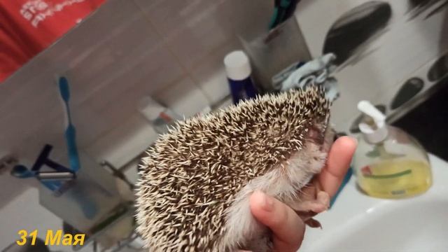 Задание по ВФД смотреть онлайн