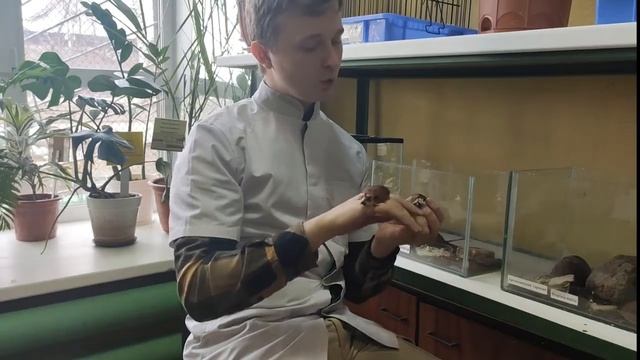 Экскурсия по станции юных натуралистов