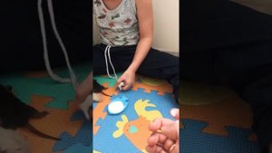 Кушают ли крысята в две недели сами?