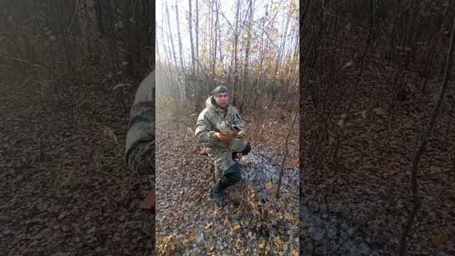 Охота на утку смотреть онлайн