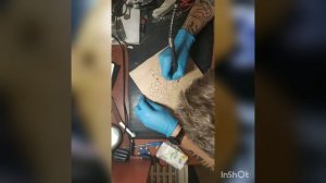 Гравировка по дереву, но как же не без косяков