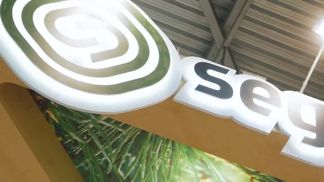 Segezha Group выставка RosUpack 2022 смотреть онлайн