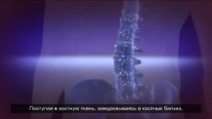 ЭКО питание ХХI века   Гель Vertera Профессор Корзун В Н