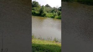 Рыбалка в Астрахани.Рыба есть)))