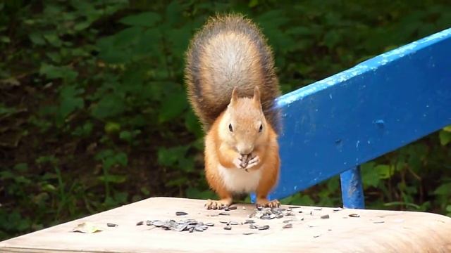 P1030548 смотреть онлайн