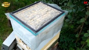 пчеловодство, постановка пустых корпусов