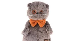 Басик после школы