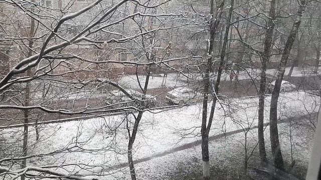 Балашиха мкр железнодорожный пионерская 12