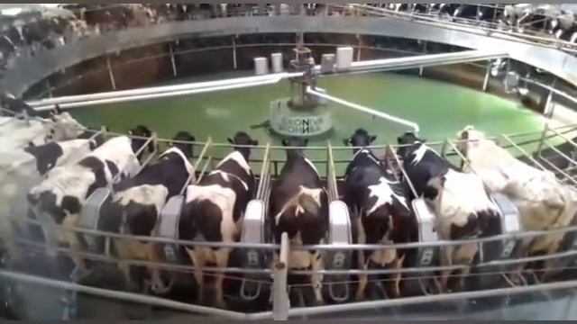 ЭкоНива часть 2 (16.07.2022)