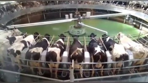 ЭкоНива часть 2 (16.07.2022)