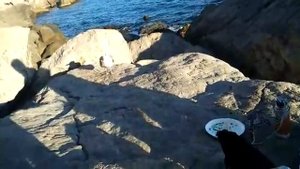 Семиис Под скалой " Крылья"