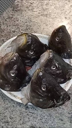 🐟🐟🐟 Вкуснейшая наваристая уха из пяти голов карпа. Уха получилась навариста да нажориста 🐟 )))