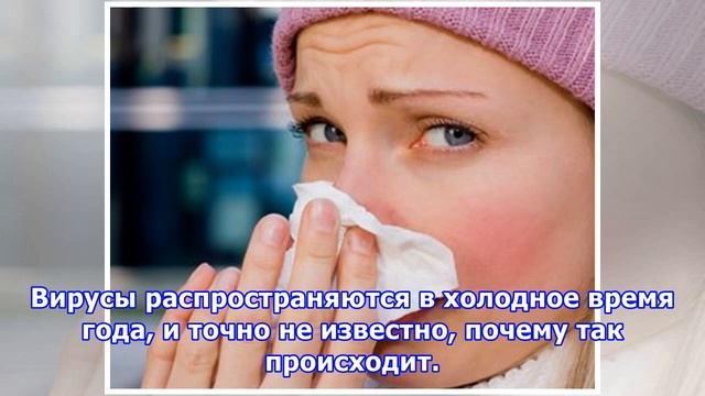 Как лечить простуду: бюджетные средства, которые действительно помогают смотреть онлайн