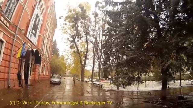 Уникальные скульптуры в Киеве, столице Украины, Welcome to Ukraine! смотреть онлайн