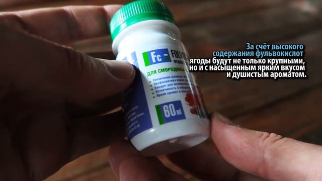 Удобрение для смородины Фульвохелат +Р +К с фульвокислотами, хелатами и микроэлементами 60 мл 💊 смотреть онлайн