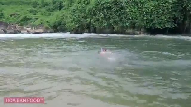 Пищевая искусство пищевые приключения Традиционная пища натуральные пищевые продукты удивительные б смотреть онлайн