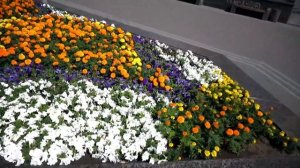 Самое скучное видео про Астану, часть 1