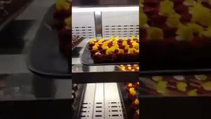 Бизнес зал в аэропорту Абу-Даби. Гастрономический рай для путешествующих 6.02.2024