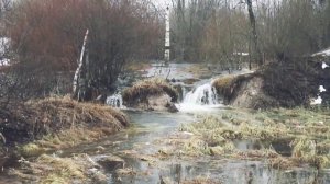 река Шингарка, весна 2023