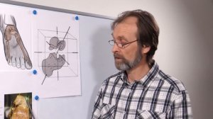 Русская школа ортопедии.  Лекция 4. Ось подтаранного сустава