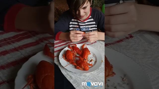 первый раз...пробуем раков...🤗🤗🤔😊😉 смотреть онлайн