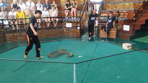 Snake ферма Тайланд Паттая 2020