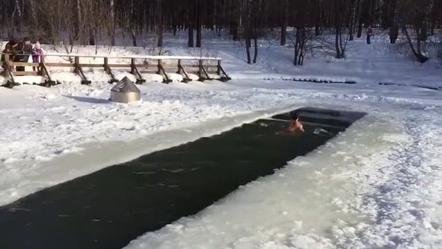 Питание и закалка. Как стать моржом. Как перестать болеть.