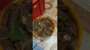 Абрикосовое варенье и пастила