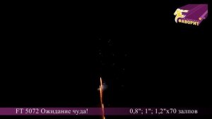 Батарея салютов 'Ожидание чуда' FT 5072