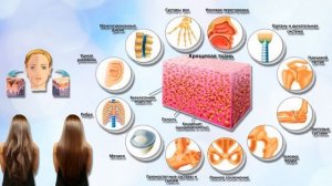 Био Коллаген для суставов