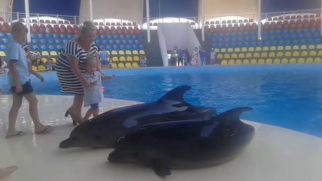 Вана и дельфин смотреть онлайн