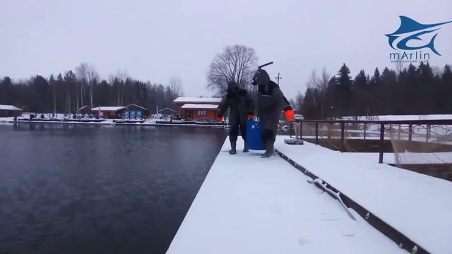 Запуск форели