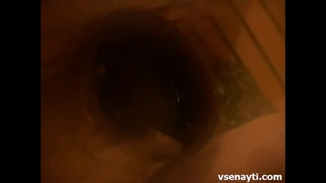 Какую баню выбрать смотреть онлайн