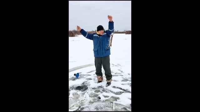 Щука клюёт! 🎣 Озерки! Первый лёд 🧊 🔥