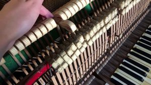 Что внутри фортепиано?