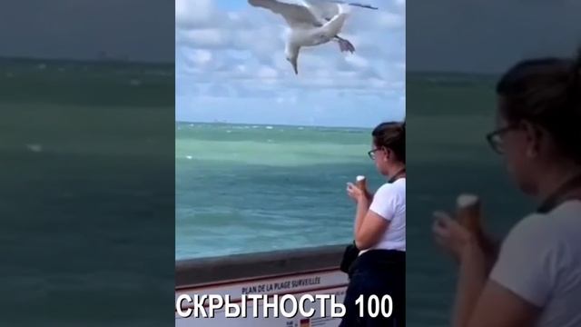 скрытность