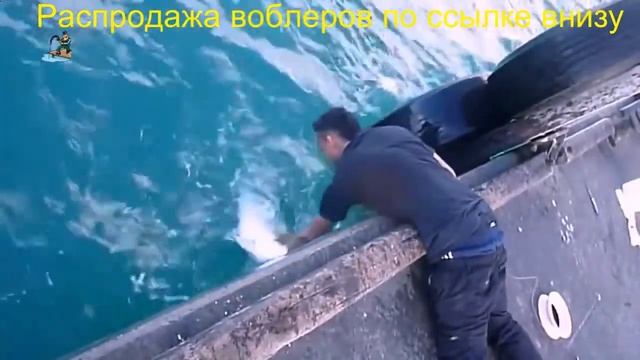 Спиннинг мегабасс близзард