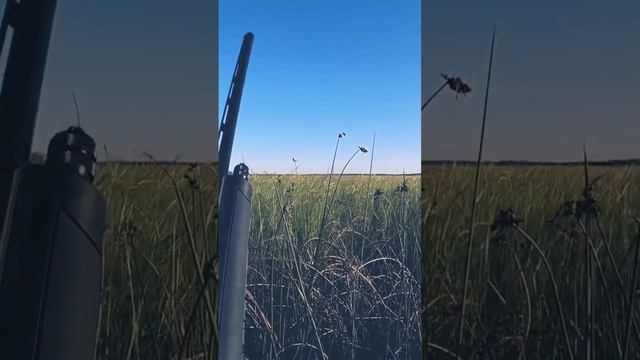 Охота на утку смотреть онлайн