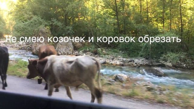 влог из сочи и абхазии смотреть онлайн