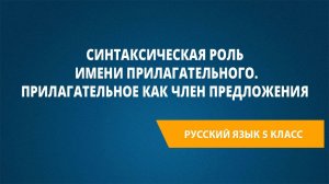 Урок 19. Синтаксическая роль имени прилагательного. Прилагательное как член предложения