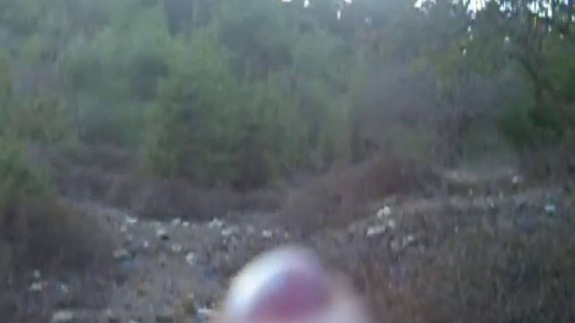 Моя фотоохота на диких кабанов! смотреть онлайн