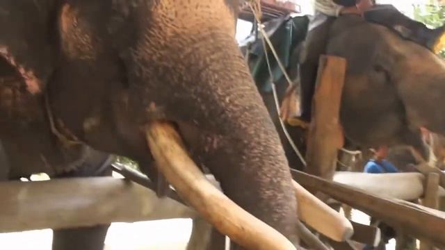 ПУТЕШЕСТВИЕ И ОТДЫХ В ТАИЛАНДЕ смотреть онлайн