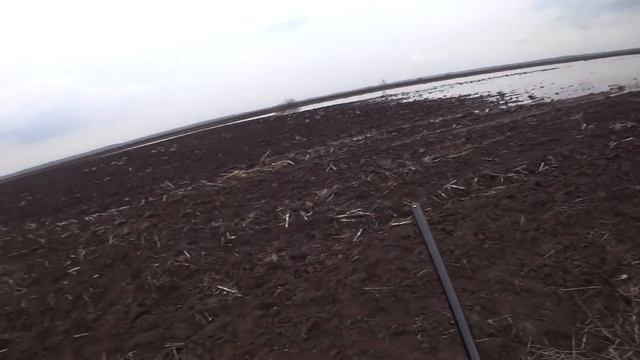 ОТКРЫТИЕ ВЕСЕННЕЙ ОХОТЫ НА ГУСЯ! НА КУКУРУЗНЫХ ПОЛЯХ. смотреть онлайн