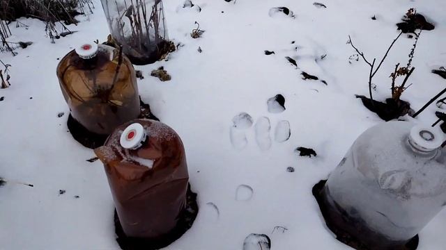 и рыбу поймали и на дачу съездили! смотреть онлайн