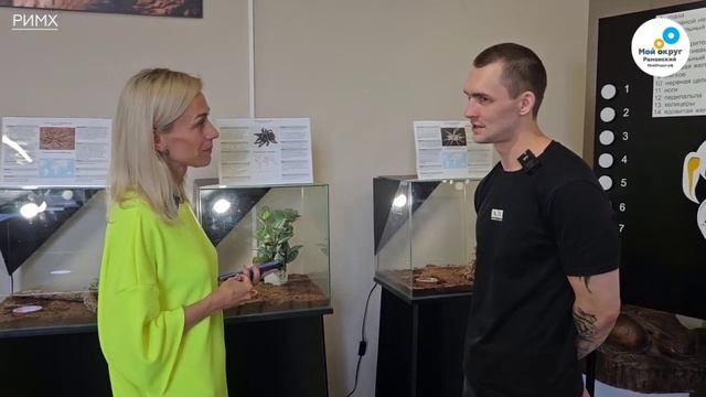 Исследуем Удивительный мир пауков смотреть онлайн