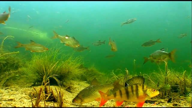 Рыбалка на море