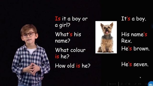 Видеоурок Pets Grammar
Как можно похвастаться что у вас есть домашний питомец?