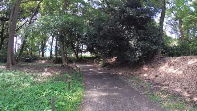 17 день в Японии. Сад Хамарикю, Одайба смотреть онлайн