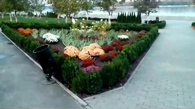 Новый парк на набережной. г. Киев смотреть онлайн