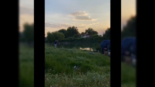 Рыбалка Кыргызстан 🇰🇬 Толстолобик 🎣 смотреть онлайн